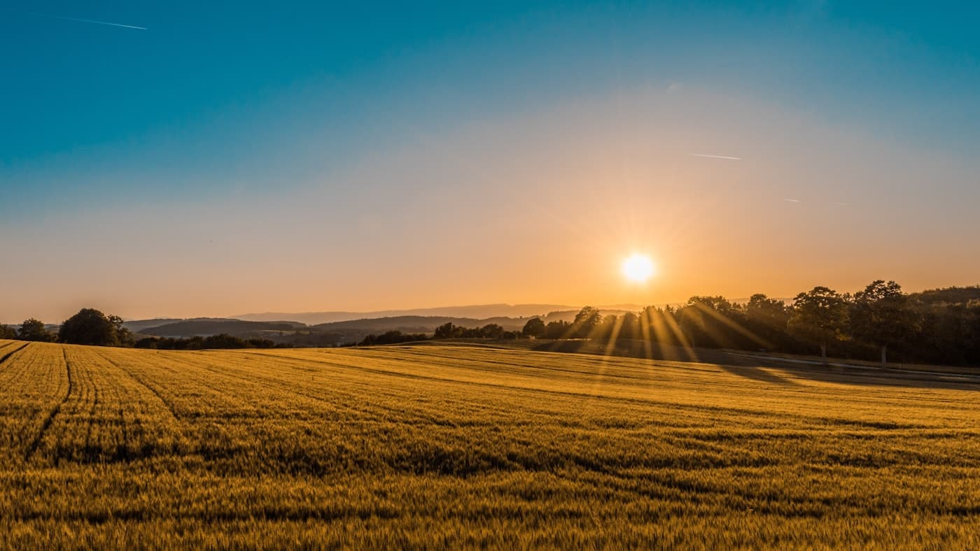 Premium Agricultural Lands