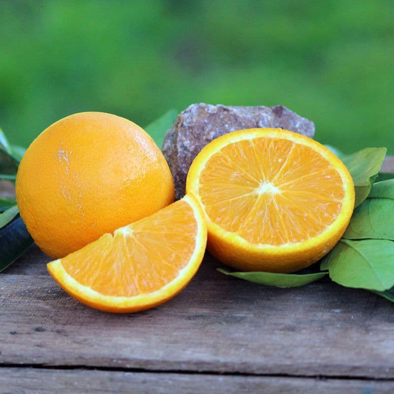 Late Lane Navel Orange