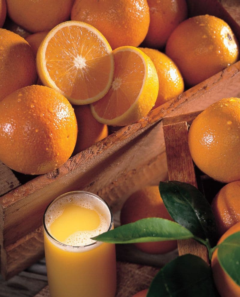 Valencia Oranges
