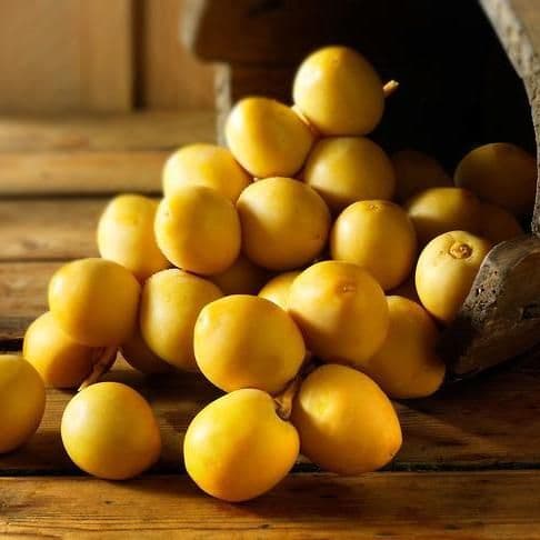 Fresh Barhi Dates