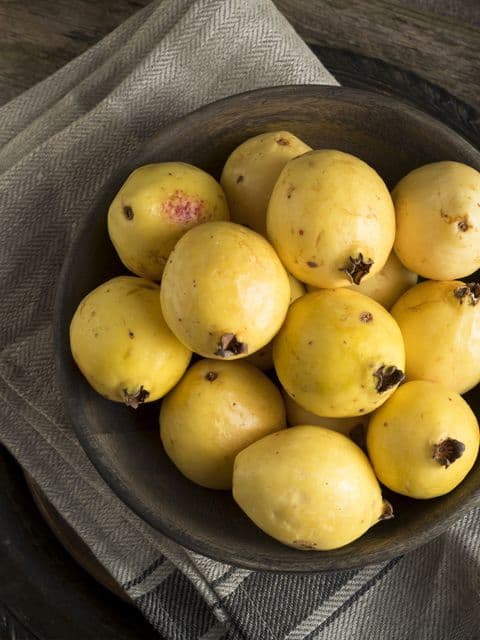 Guava