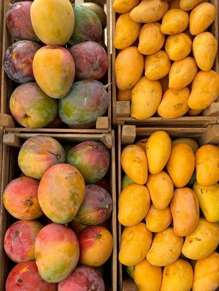 Mangoes