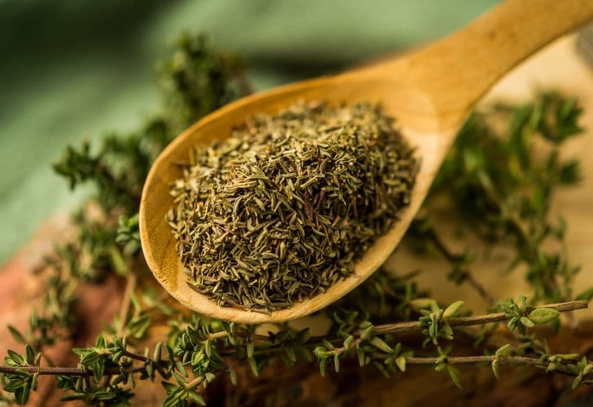 Thyme
