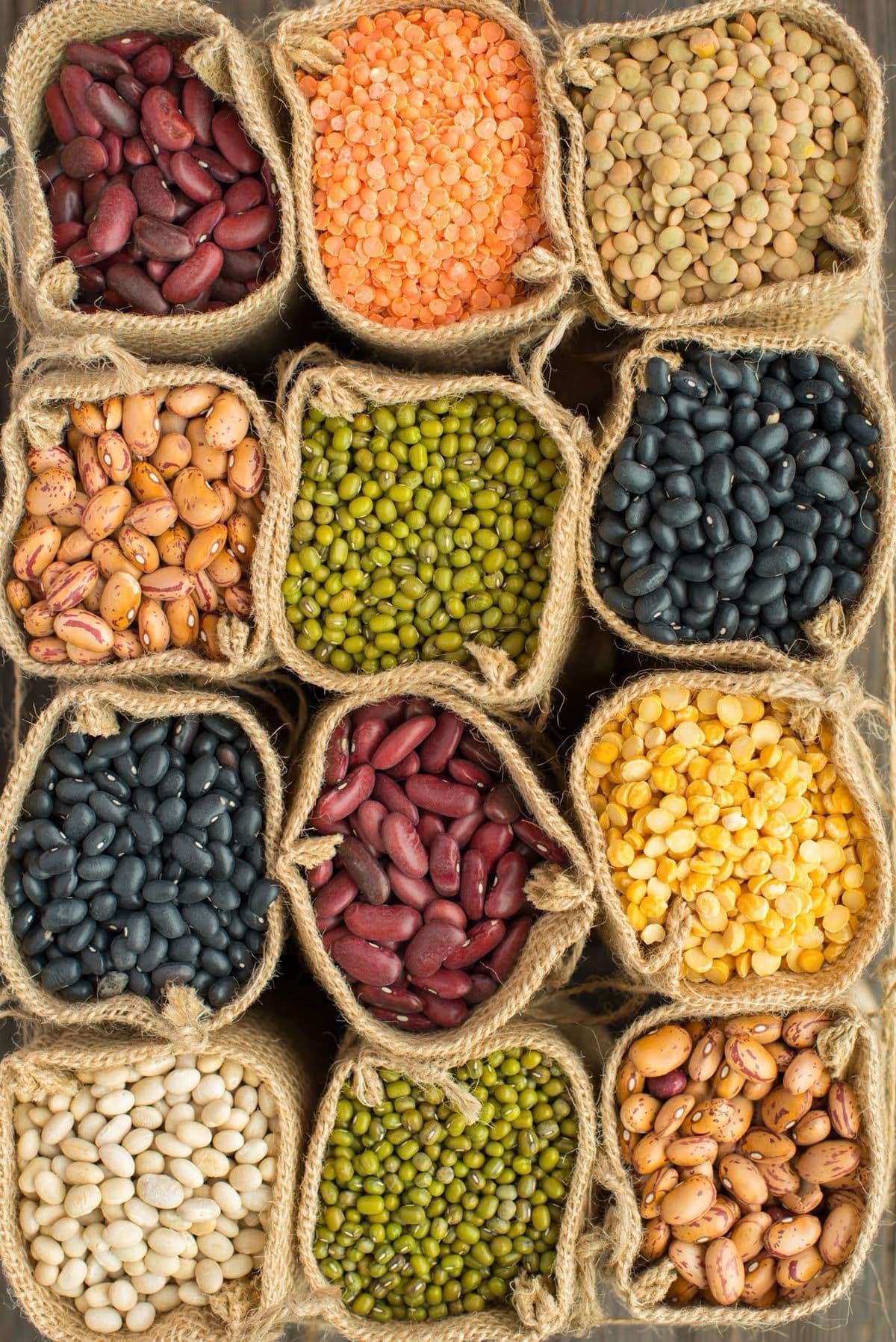 Pulses