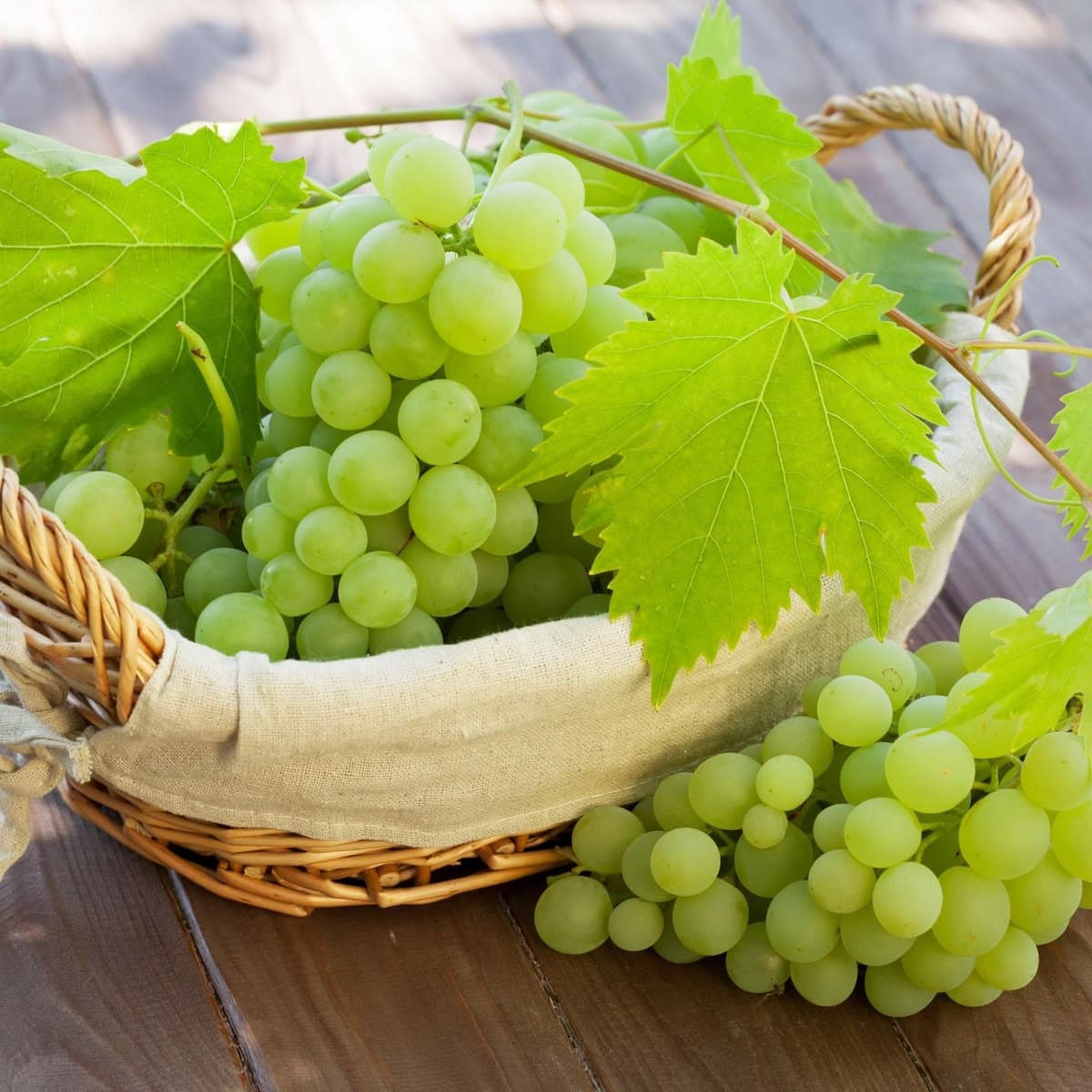 Superior Grapes