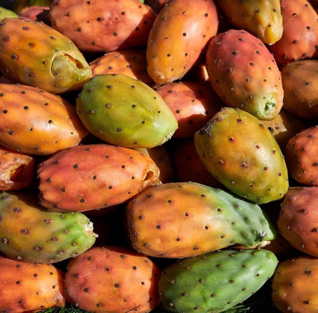 Prickly Pear
