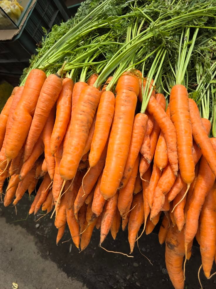 Carrots